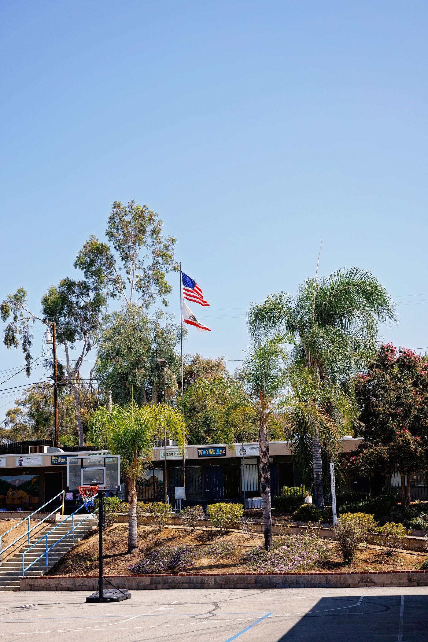 The Valley Preparatory School campus in Redlands, with palms and the flagpole