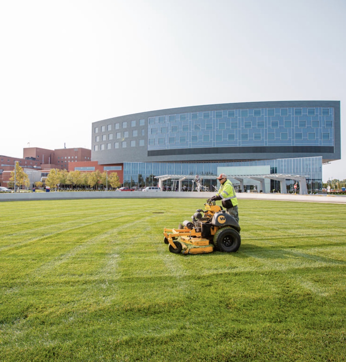 Grass Cutting & Grounds Maintenance