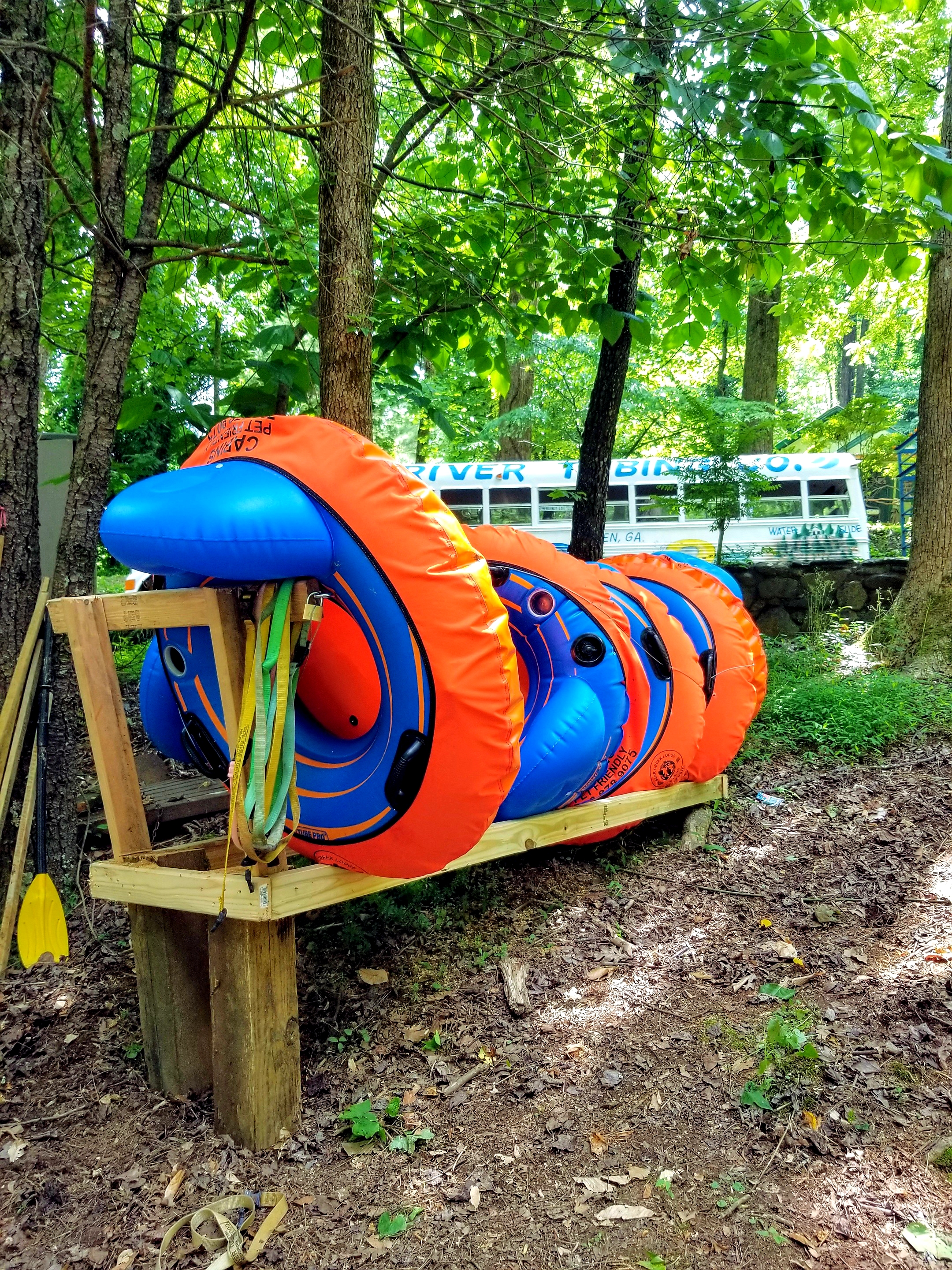 Free bikes available for guests at Bear Creek Lodge