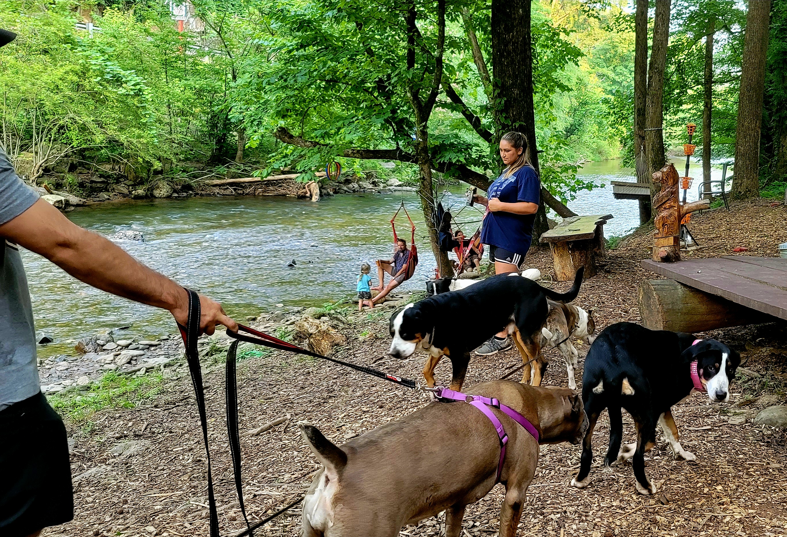 Bear Creek Lodge riverfront property