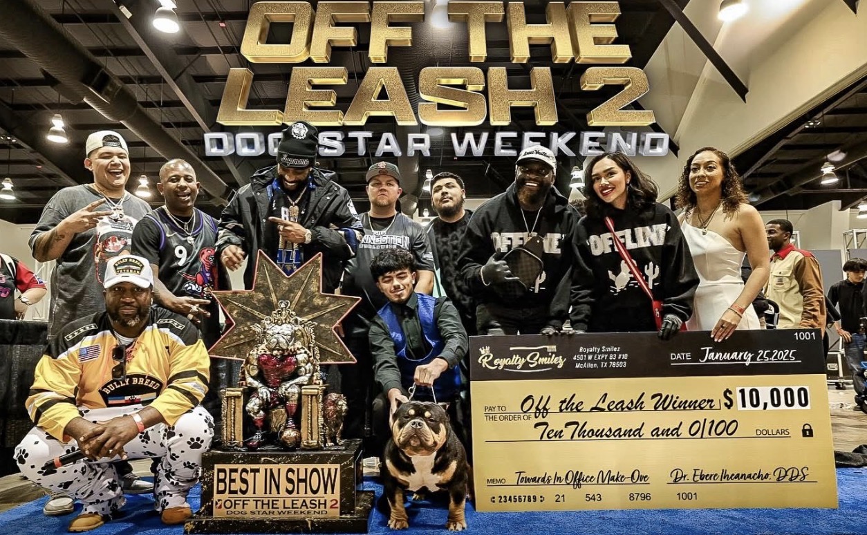 Best in Show - Off The Leash 2 - Dog Star Weekend