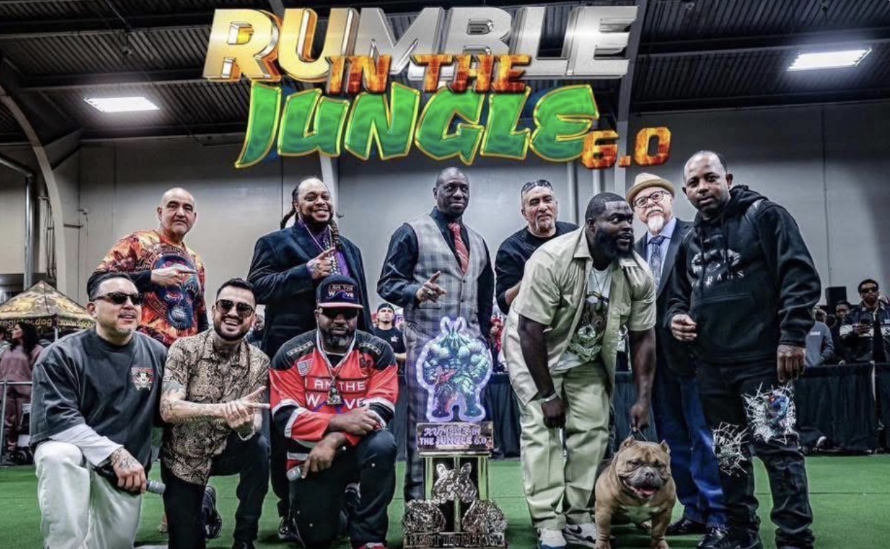 Best in Show - Rumble in the Jungle 6.0