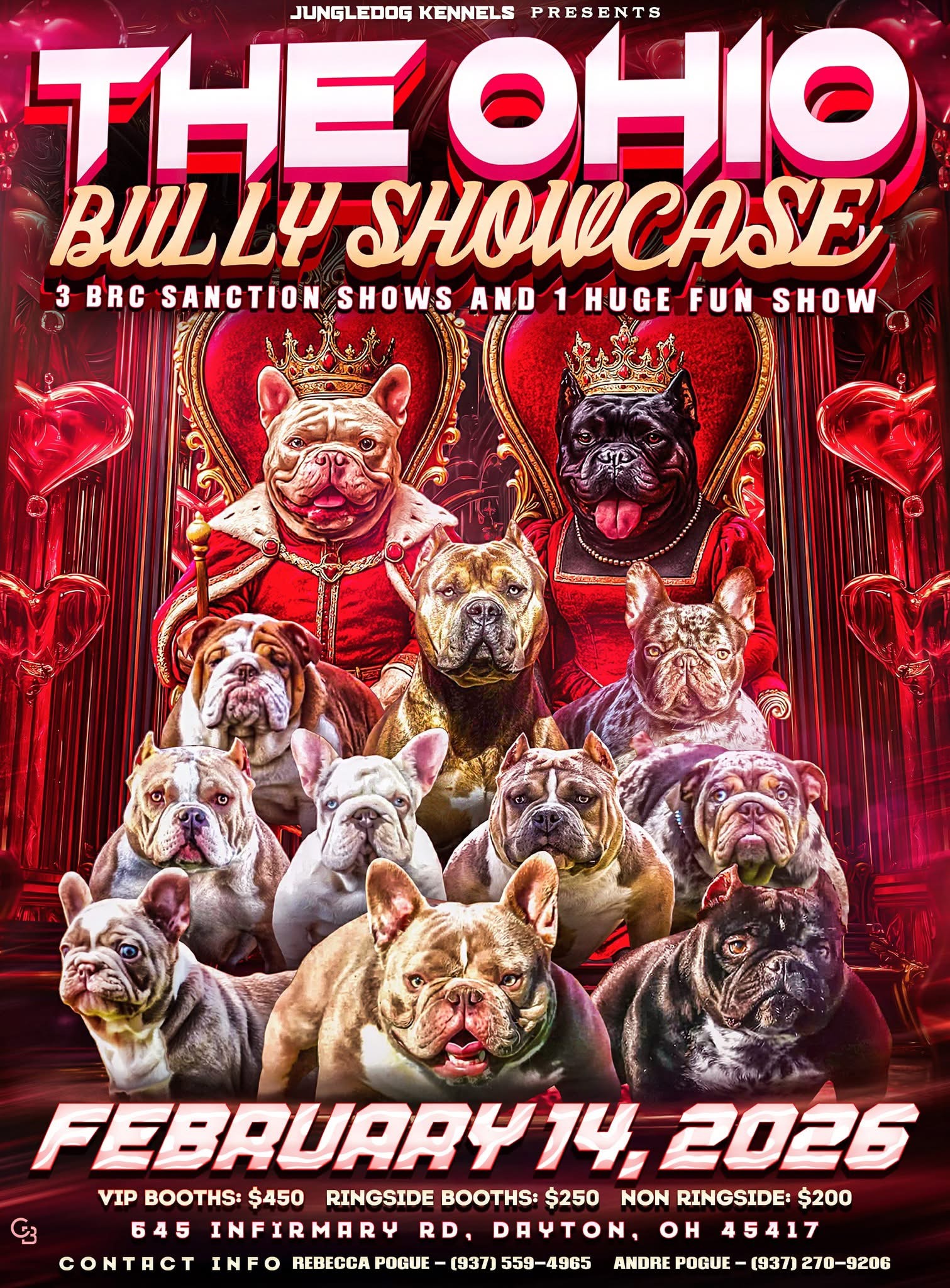 The Ohio Bully Showcase flyer