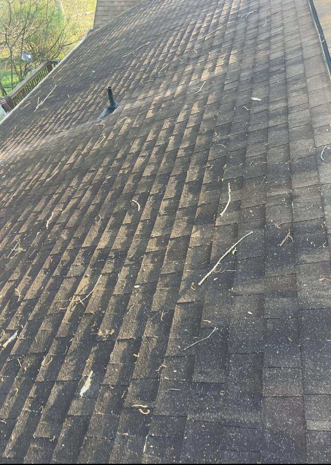 Roof soft wash before and after in Rock Hill SC by Washing Limitless
