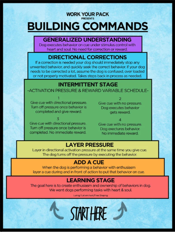 Foundational On Leash Obedience Roadmap