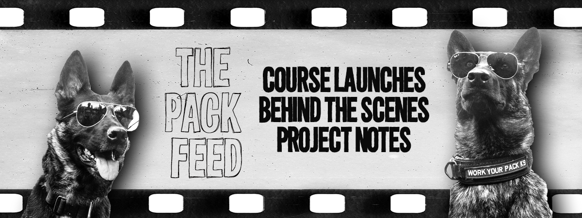 The Pack Feed