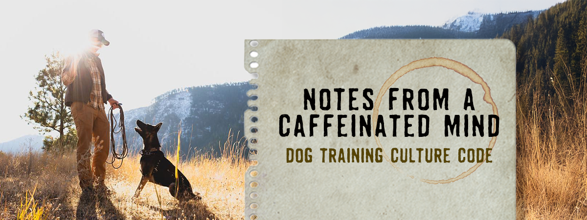 Notes from a Caffeinated Mind