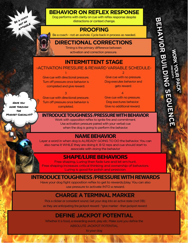 Ignite Your Training System Roadmap