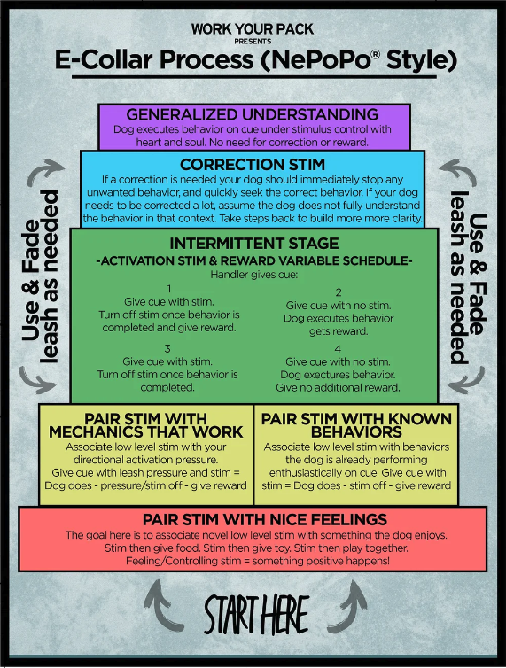 Advanced Off Leash Obedience Roadmap