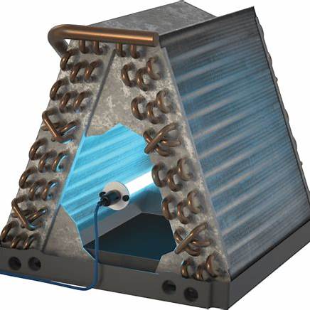UV Light Purification