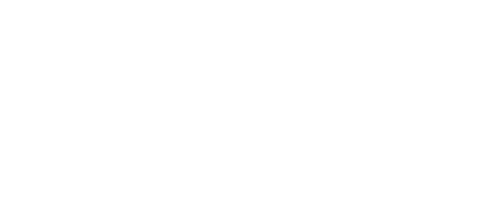 Shanelle Porter Simmons