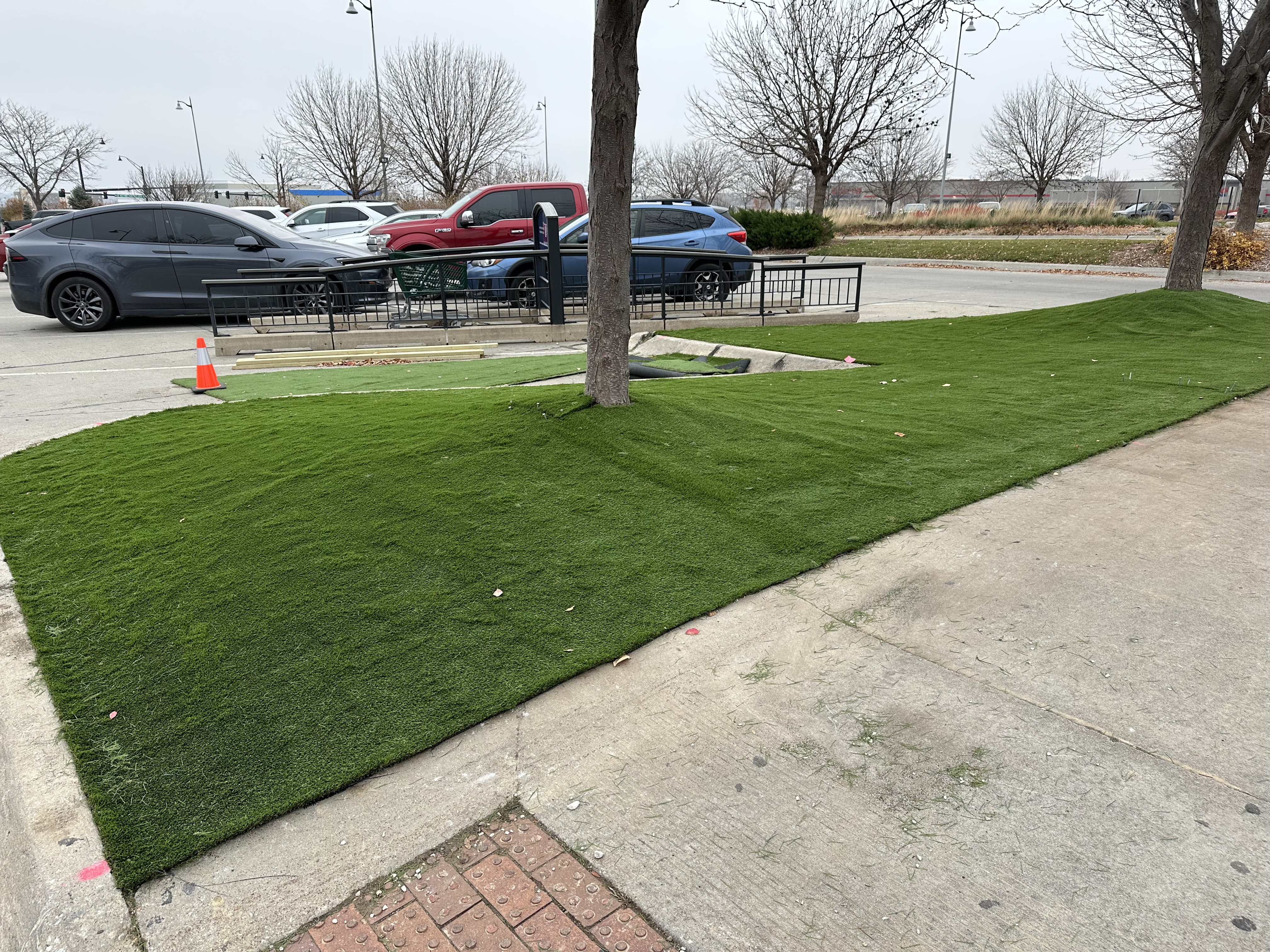 Commercial Turf Installs photo 4