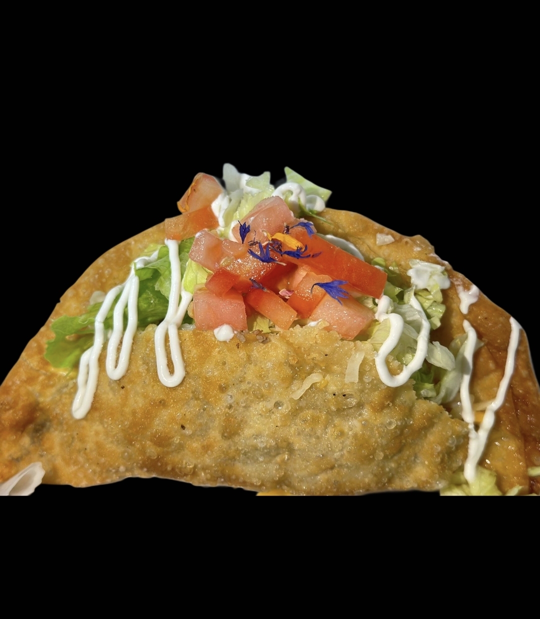 #10 Empanada Beef