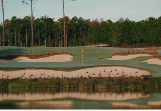 Broomsedge Sandy Terrain