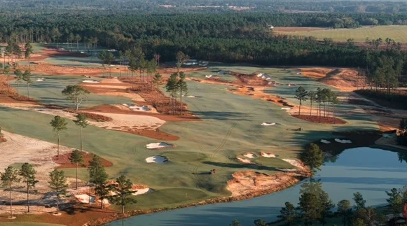 Broomsedge Dramatic Landscape
