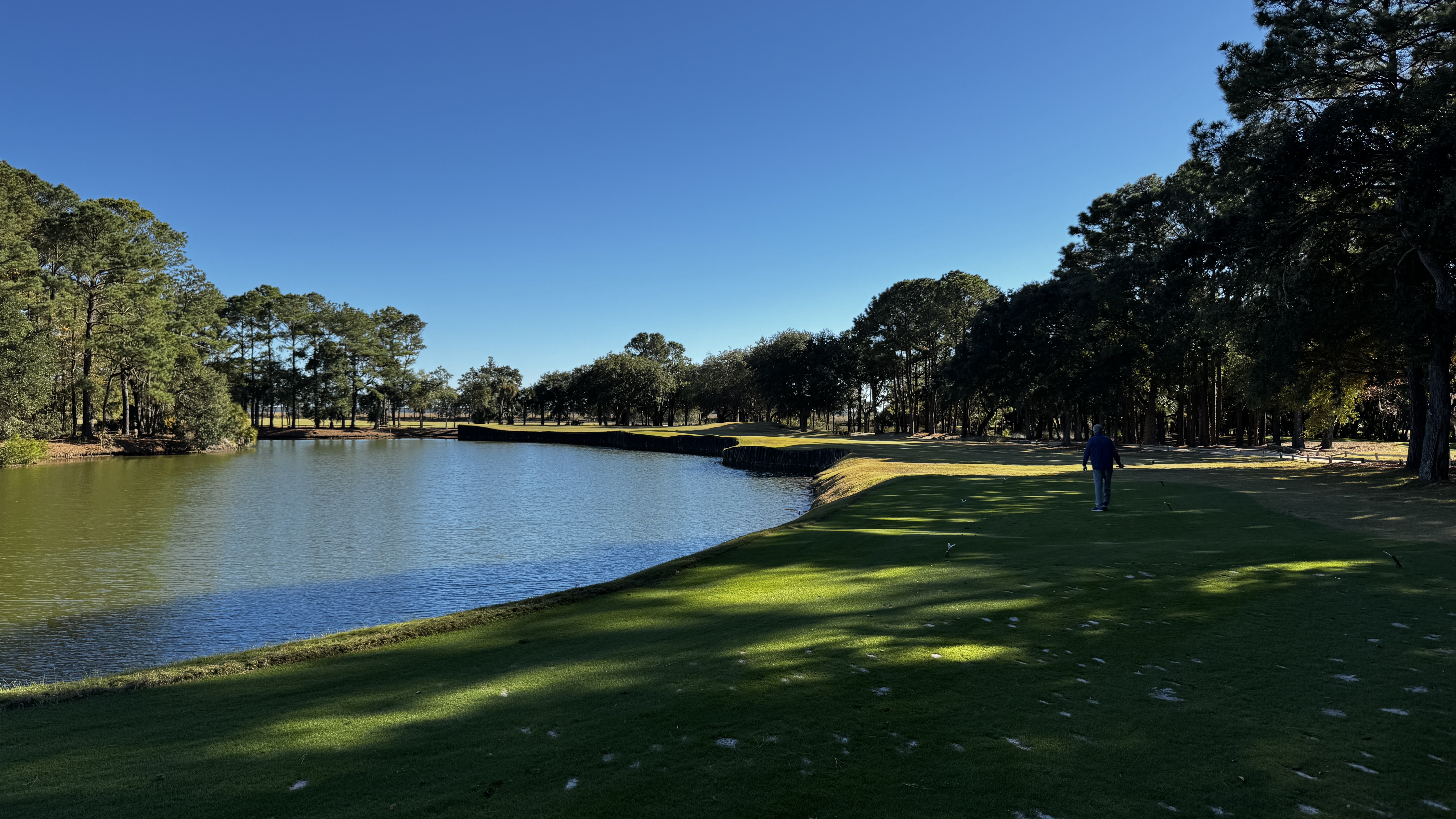 Water, trees, and the Lowcountry's signature light at Bulls Bay