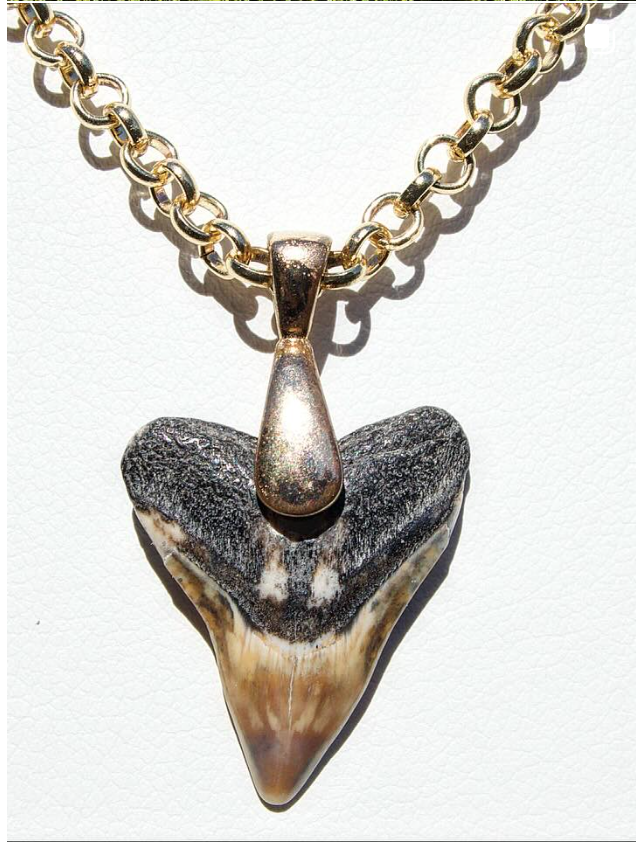 A to Z Shark Teeth jewelry