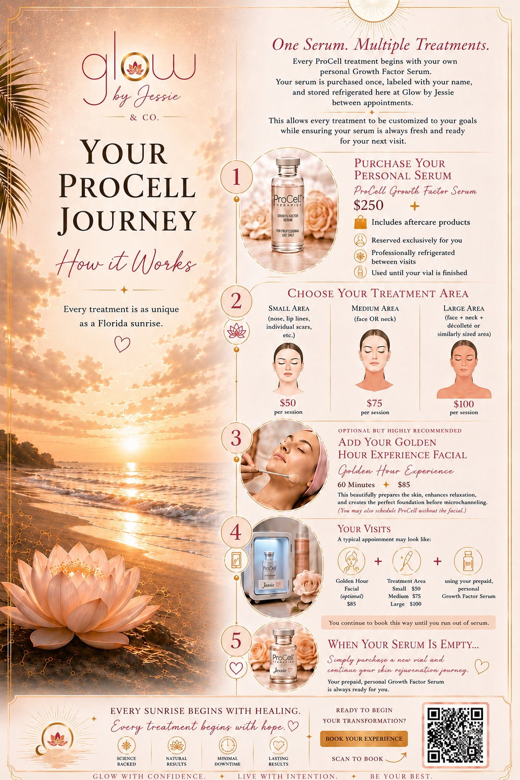 Your ProCell Journey – How it Works, step by step