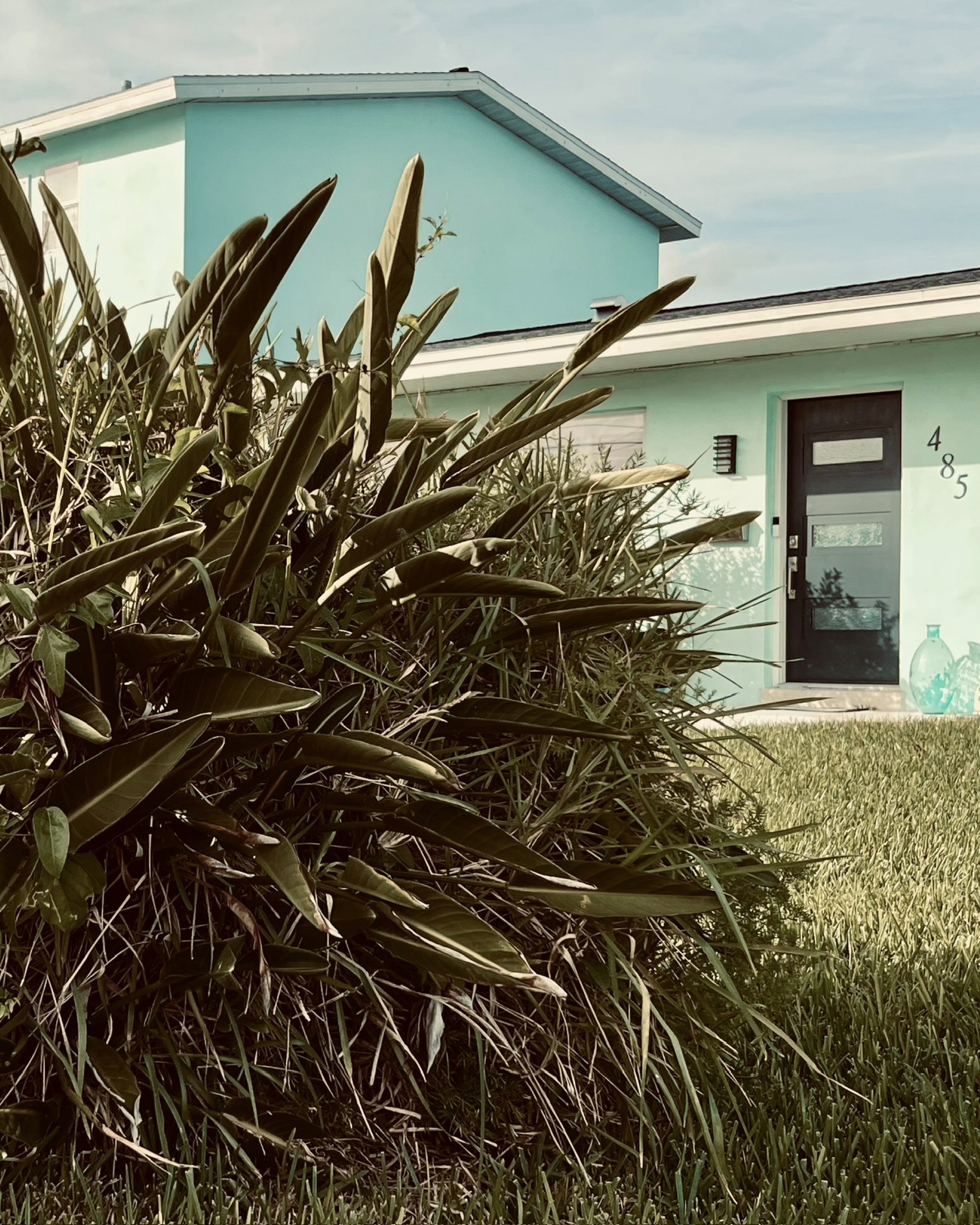 Tropical plantings and green lawn with a coastal Florida home