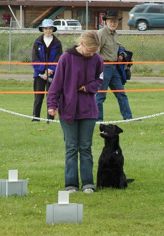 Handler and dog performing obedience exercises outdoors