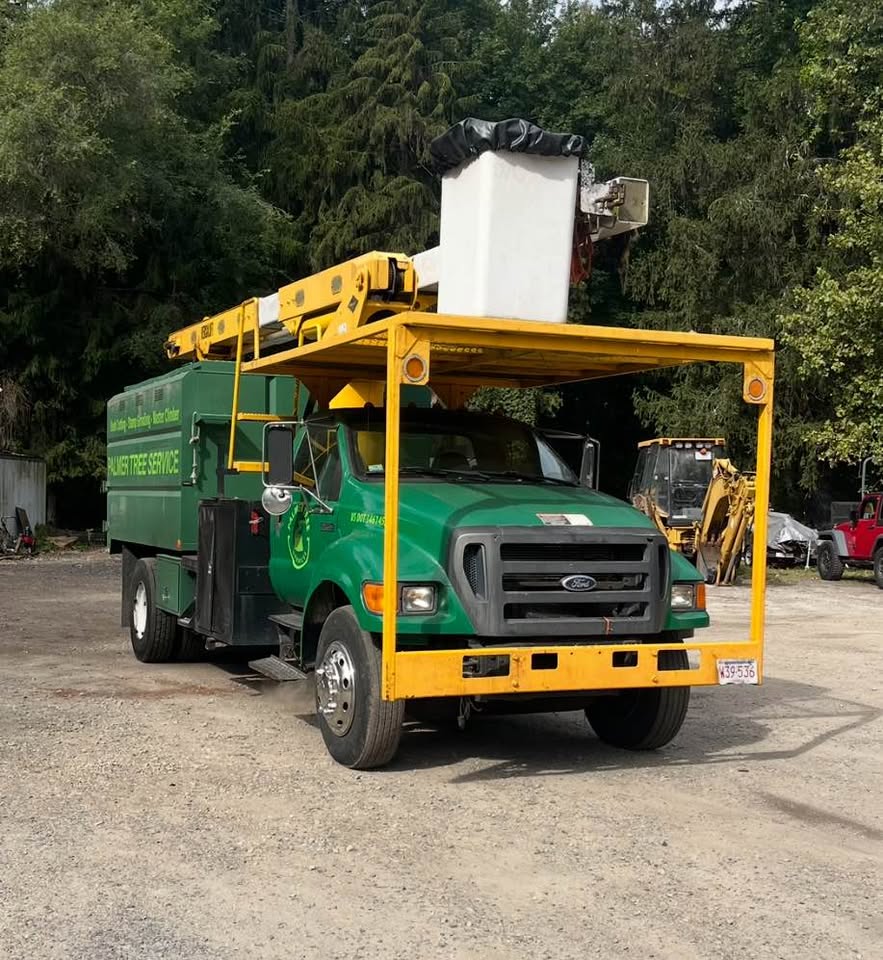 2010 Ford F-750 - Photo 1