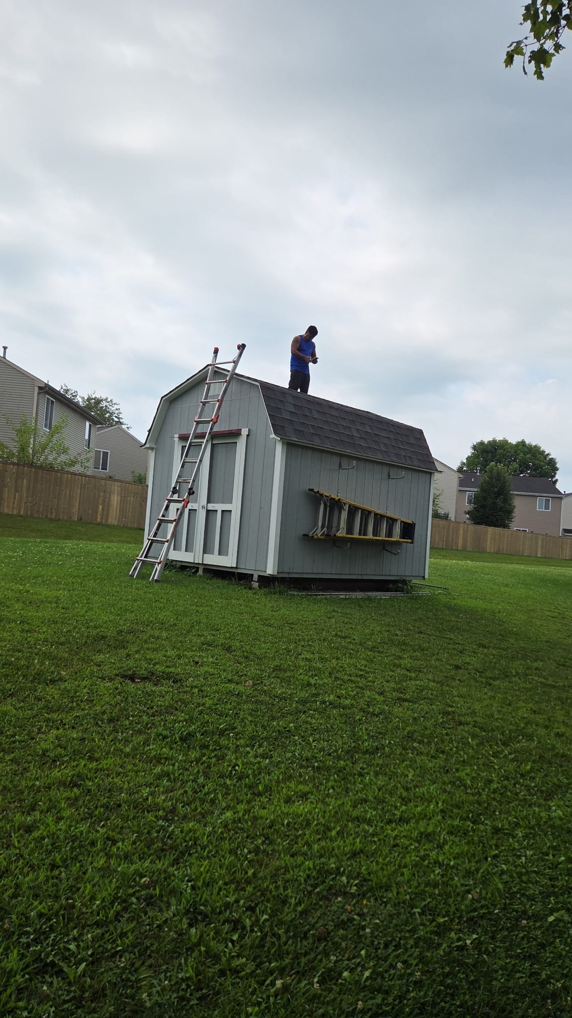 Martinez Roofing crew member on the roof of a backyard storage shed in Indianapolis, replacing the shingles with an extension ladder set against it