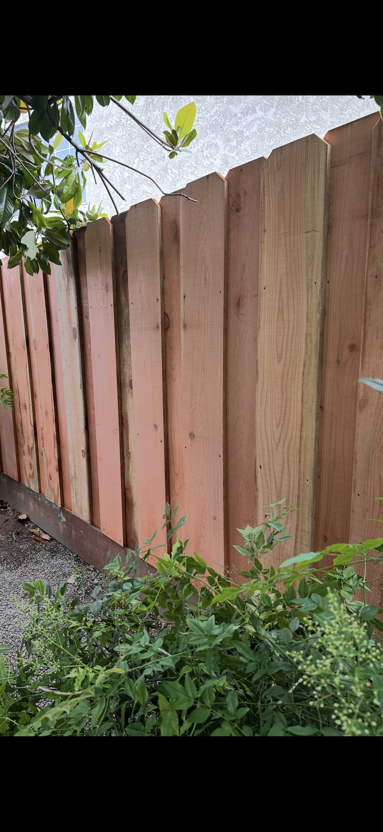 Dark stained board-on-board fence with cap rail along concrete walkway