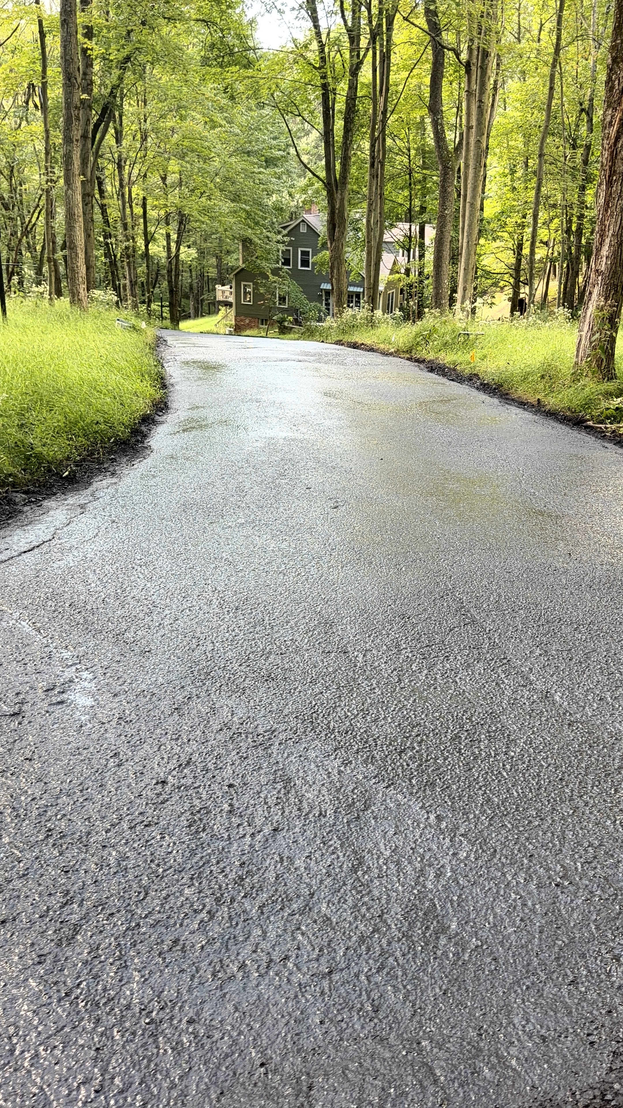 Metzger Sealcoating project 59