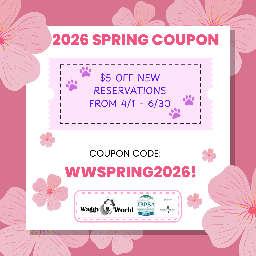 2026 Spring Coupon