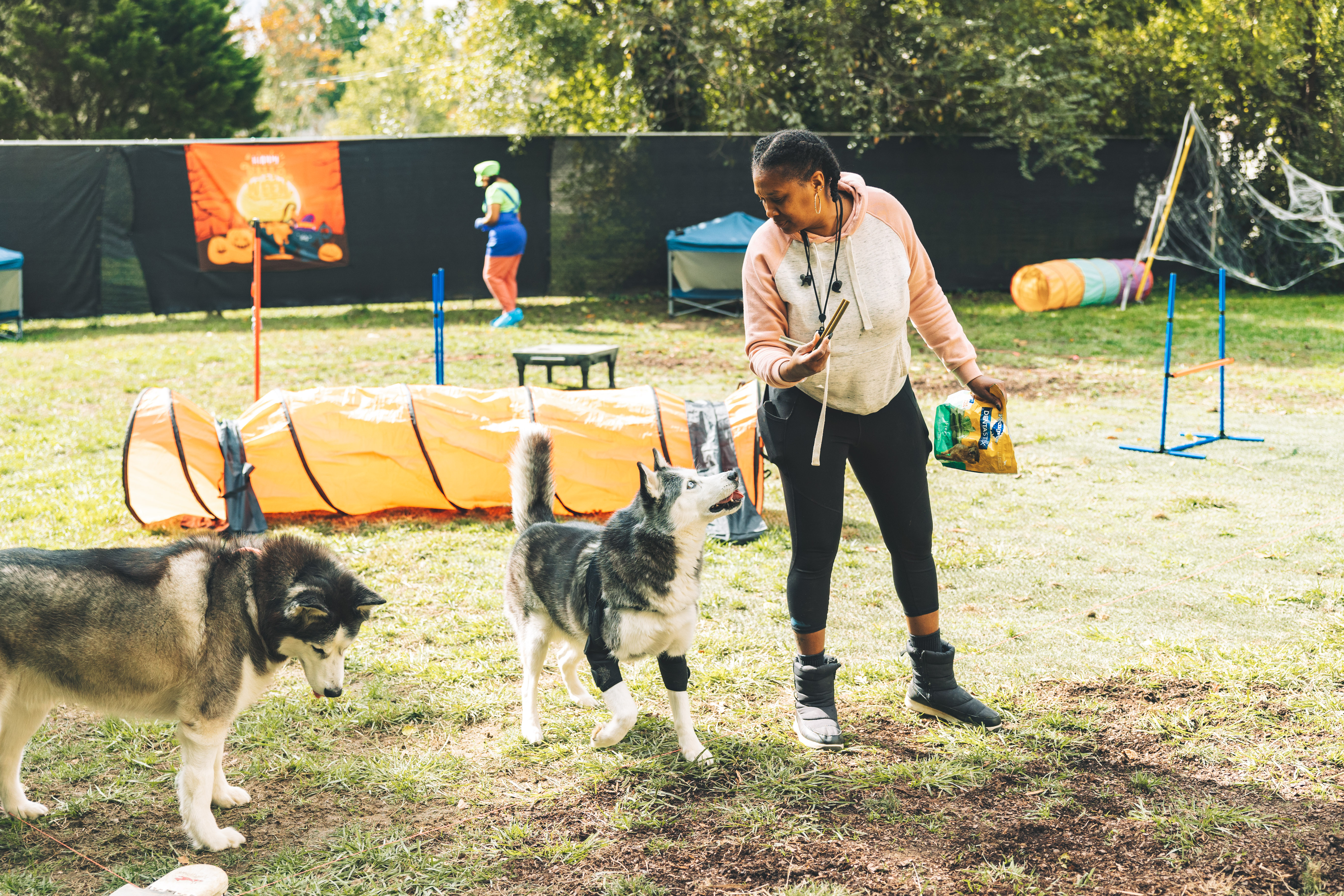 Vallery training huskies
