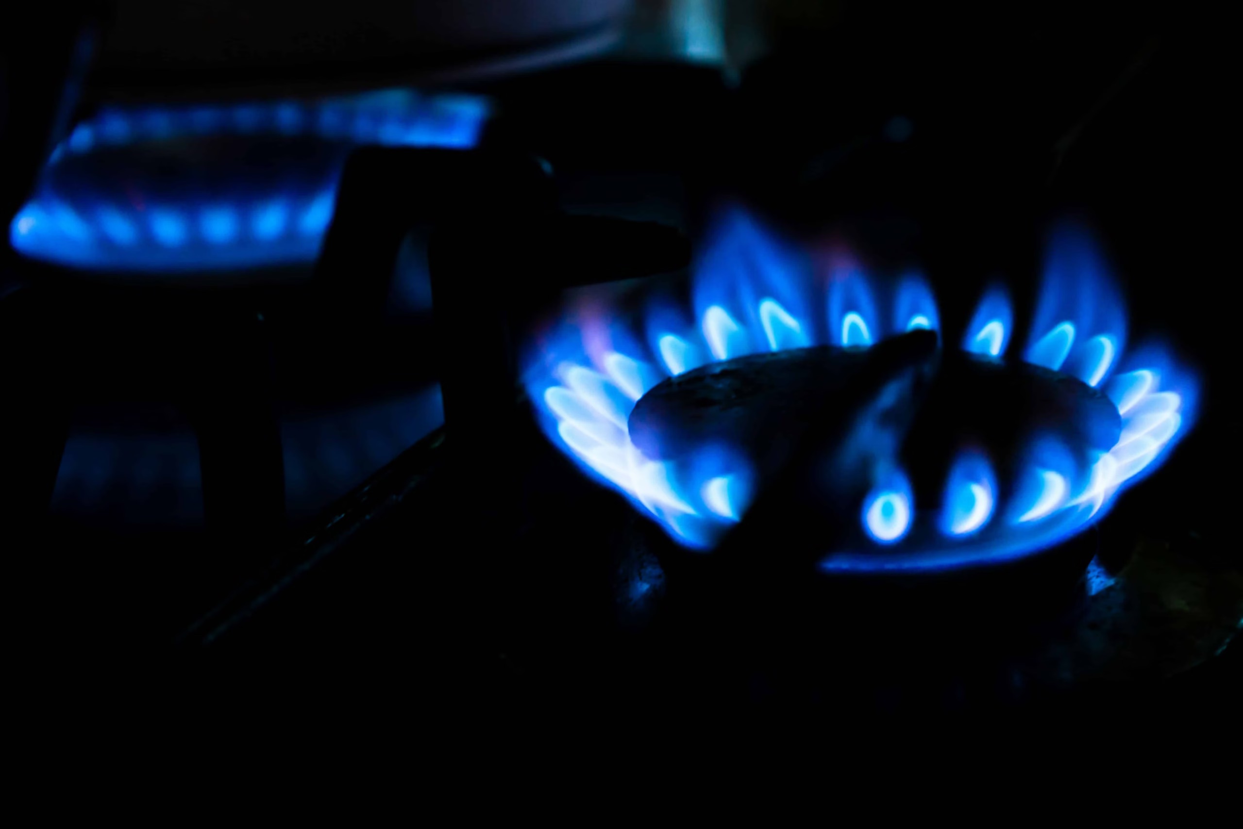 Gas burner inspection