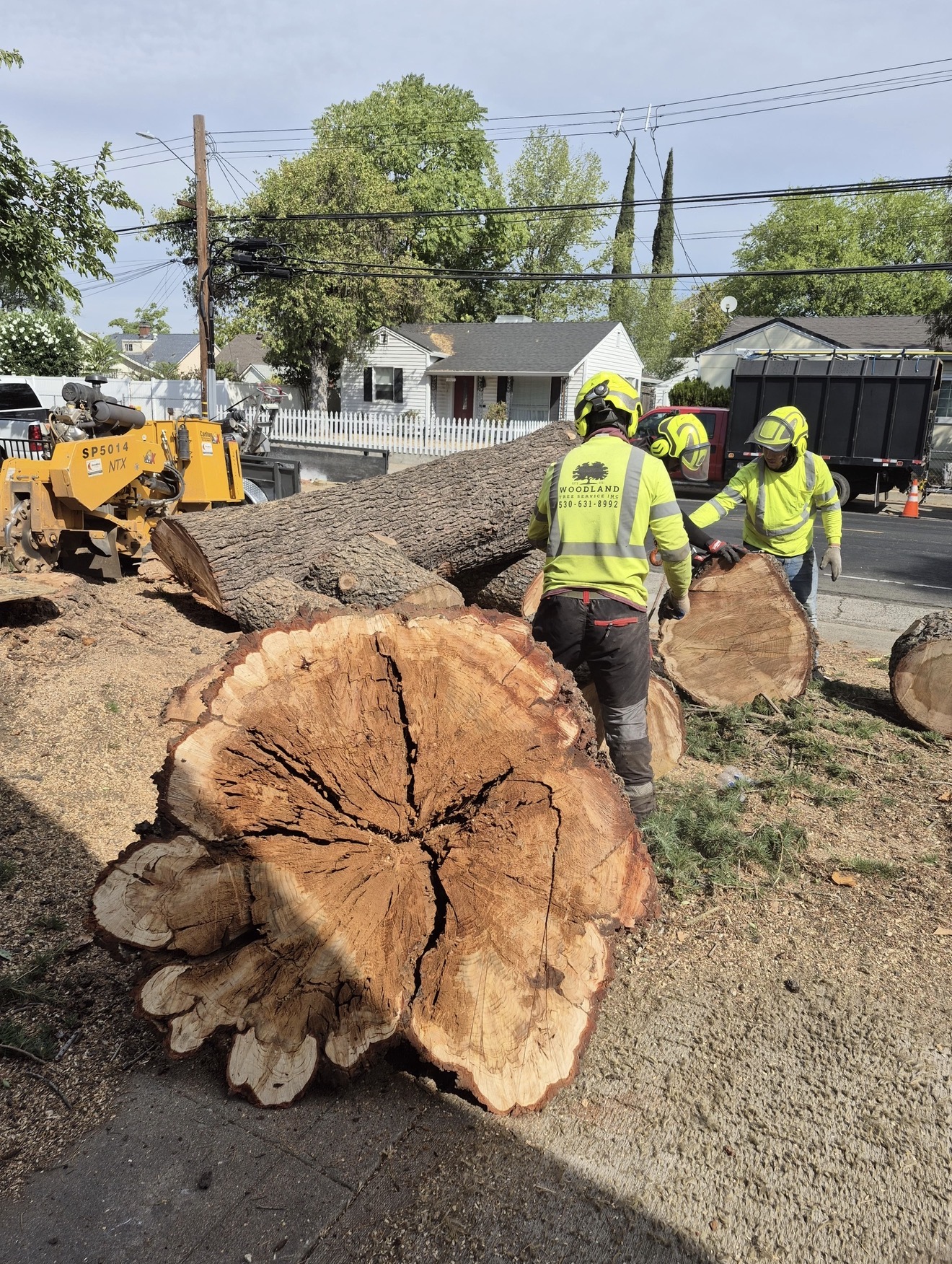 Woodland Tree Service Inc. | Professional Tree Service in Woodland ...
