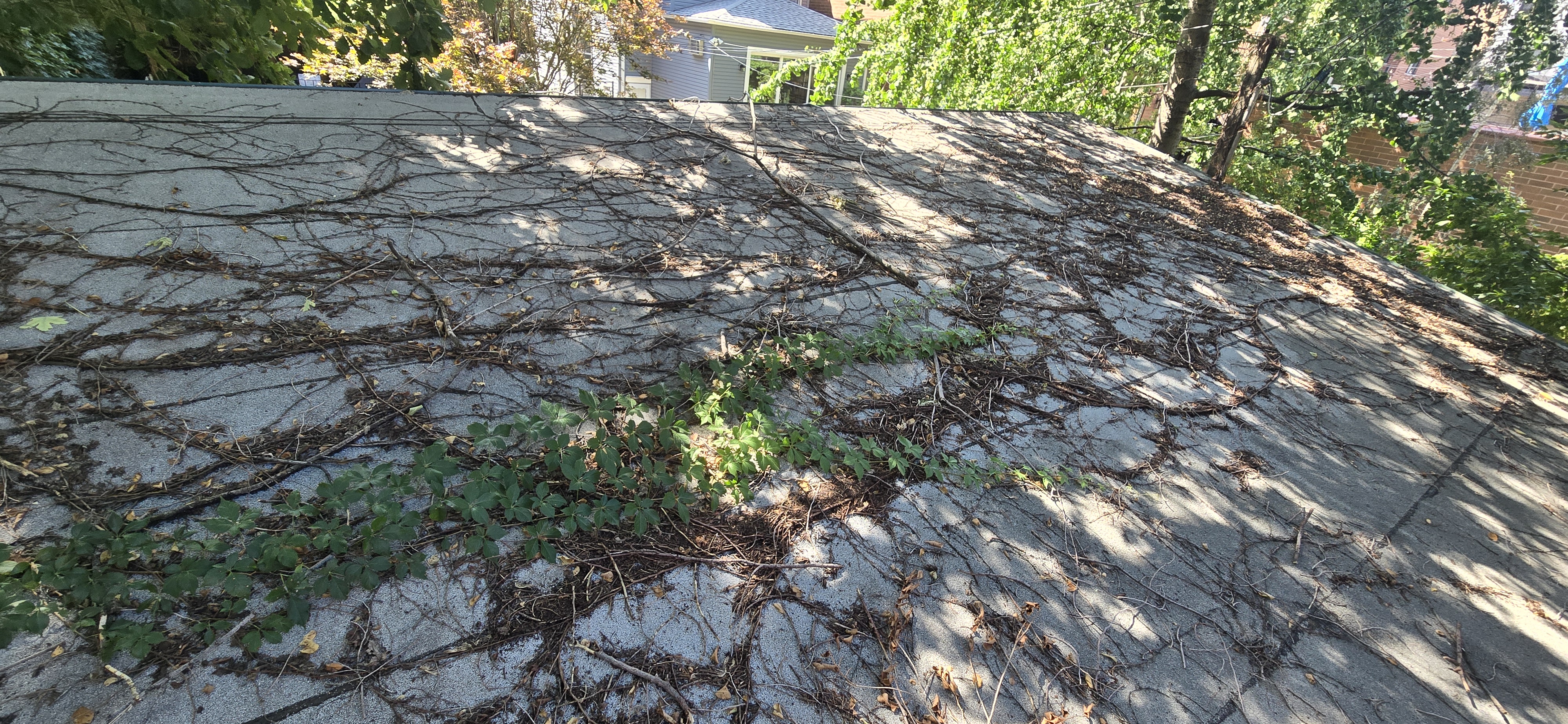 Before: Flat Roof Maintenance & Elastomeric Coating