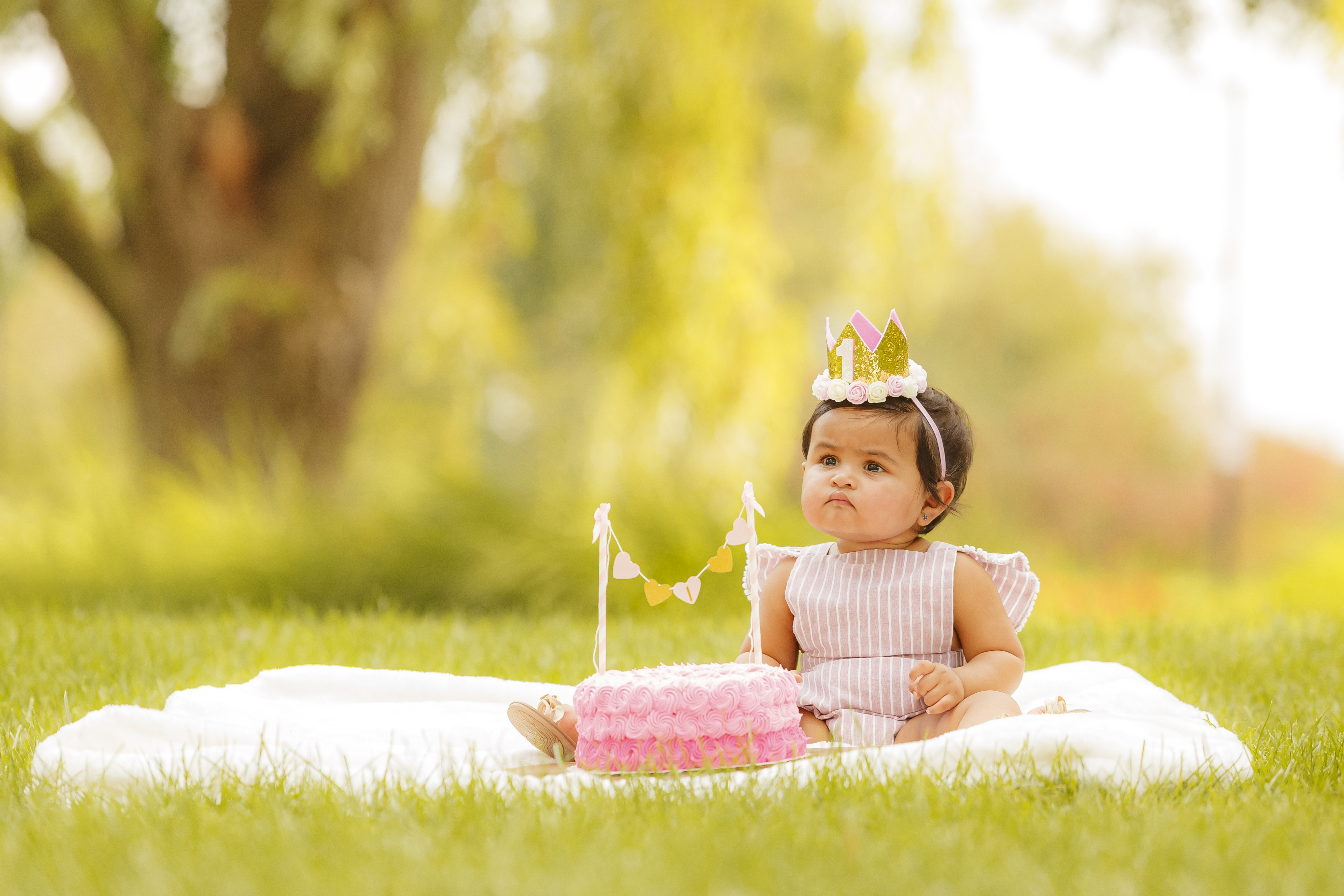 Baby girl with birthday crown and pink smash cake — outdoor cake smash session by IDTPhoto