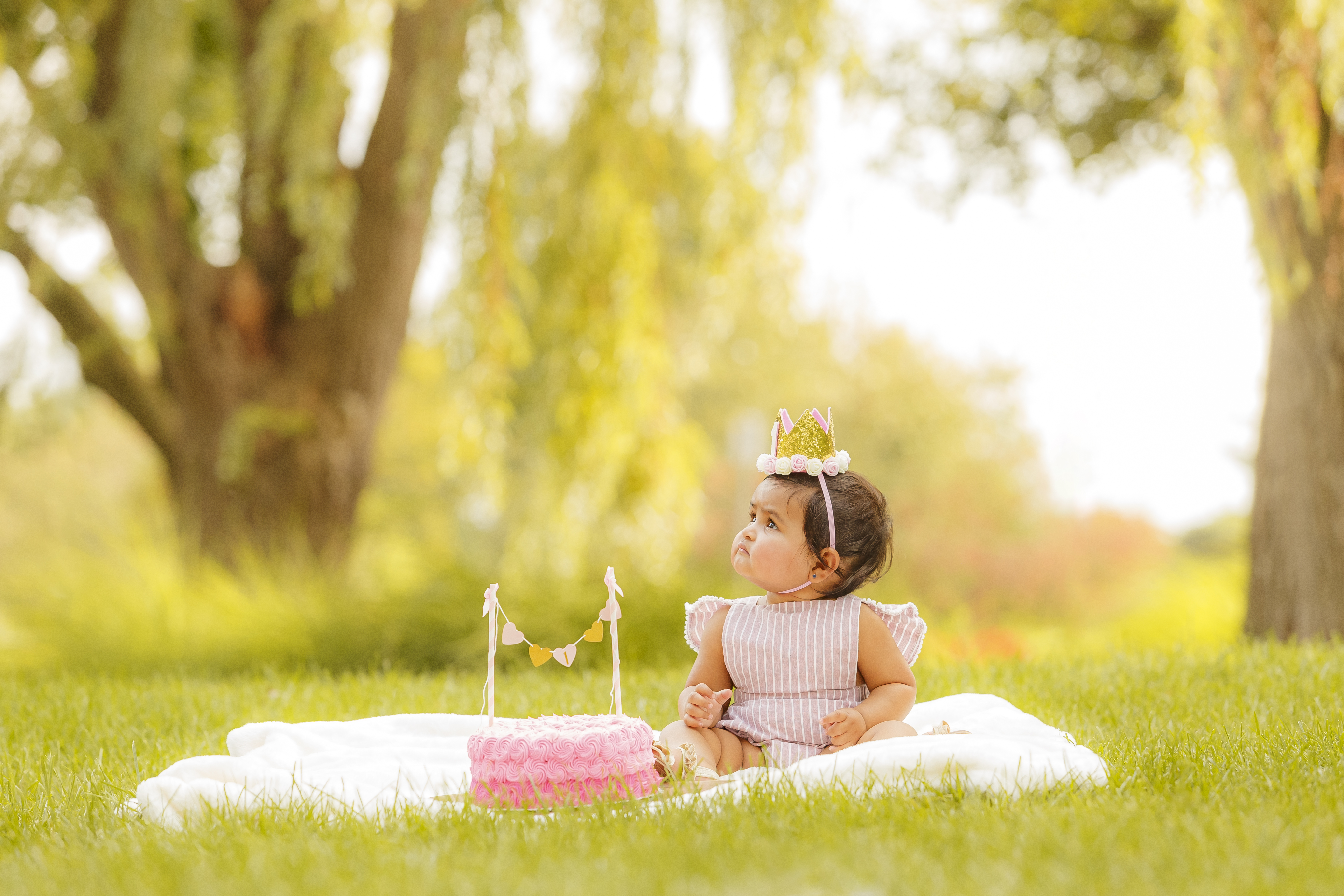 Dreamy outdoor cake smash portrait with golden hour light — IDTPhoto Chicagoland
