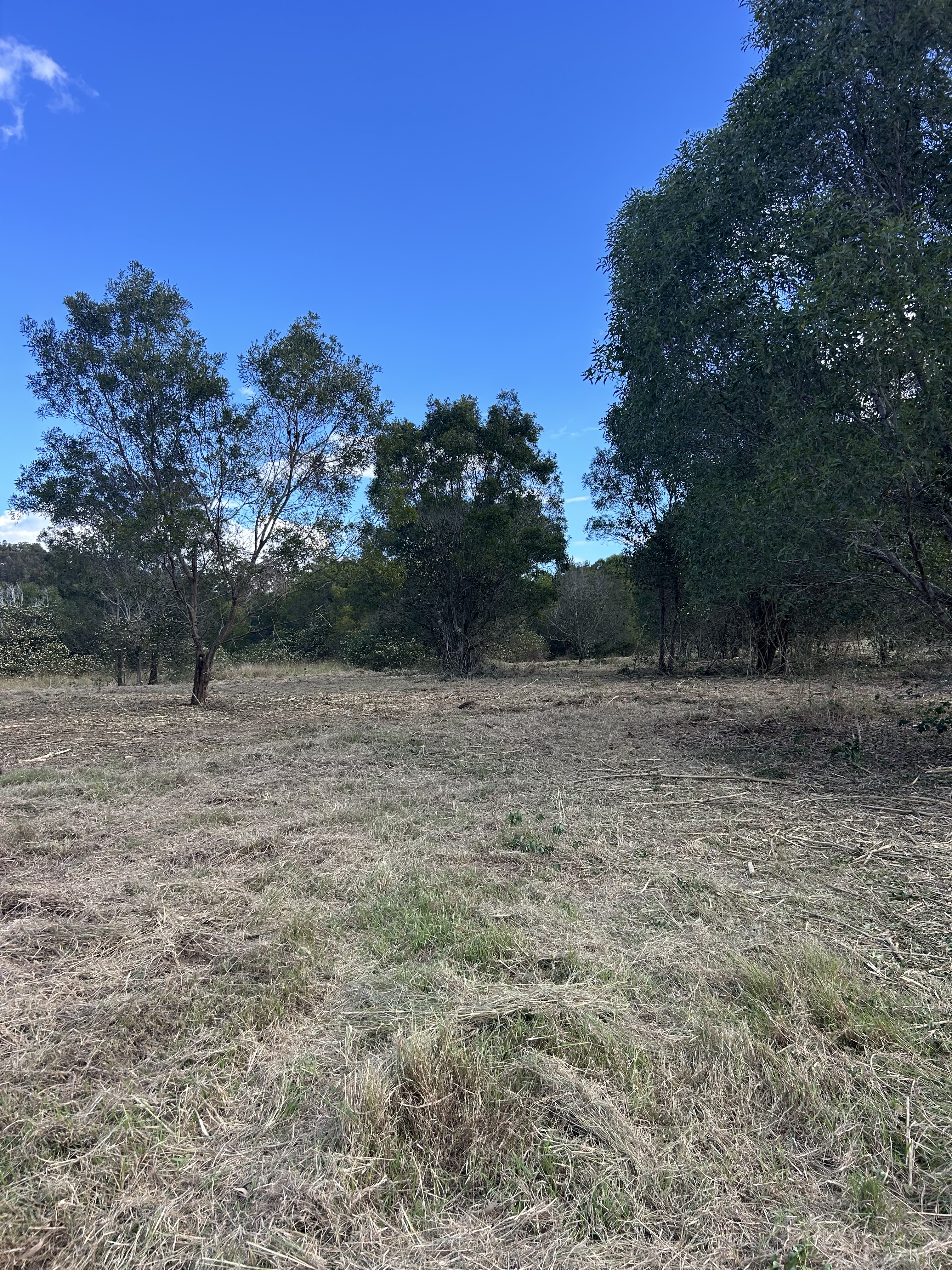 After — cleared site ready for earthworks and construction