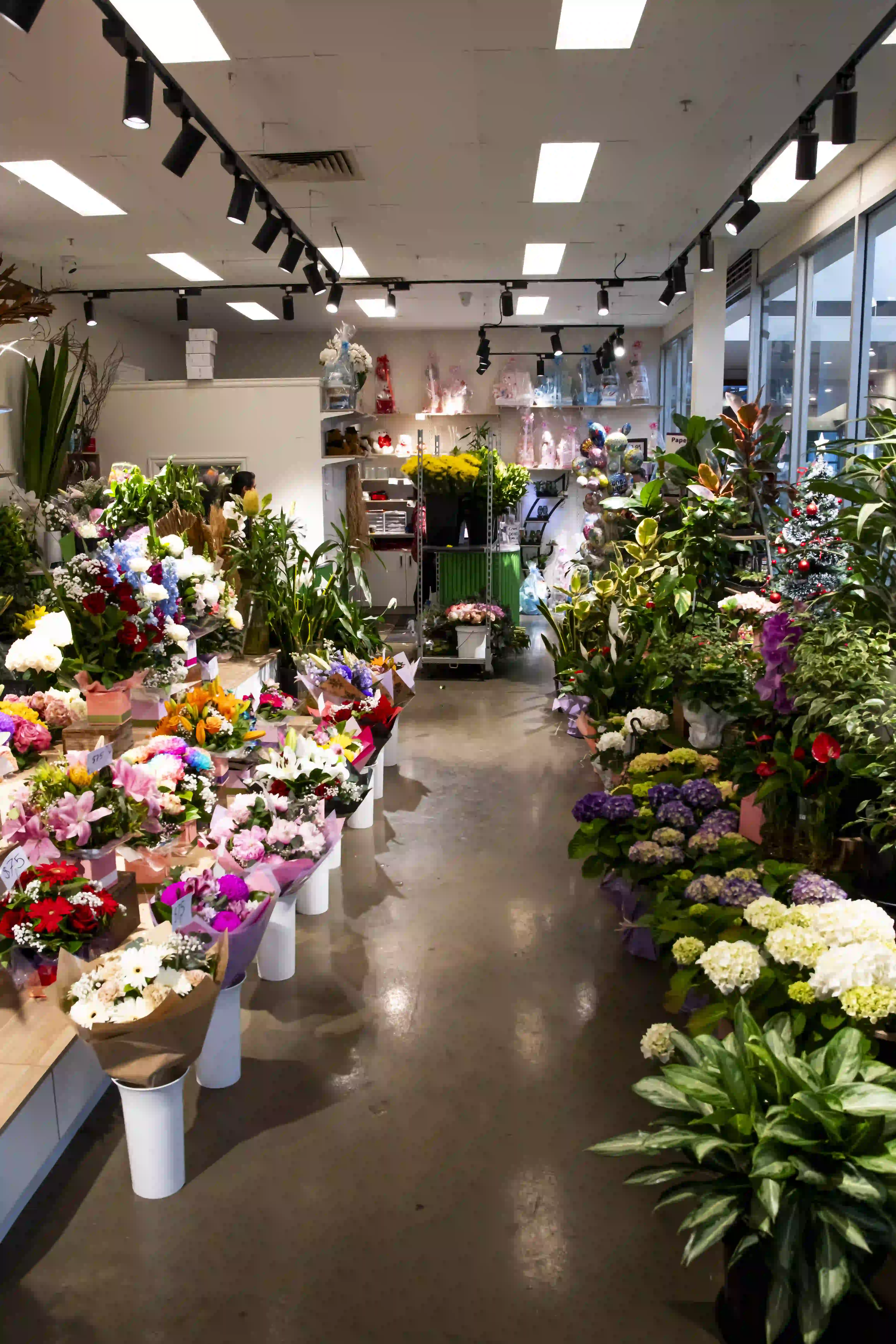 Inside Four Seasons Bloom florist at Wellington Square — fresh flowers, bouquets and plants