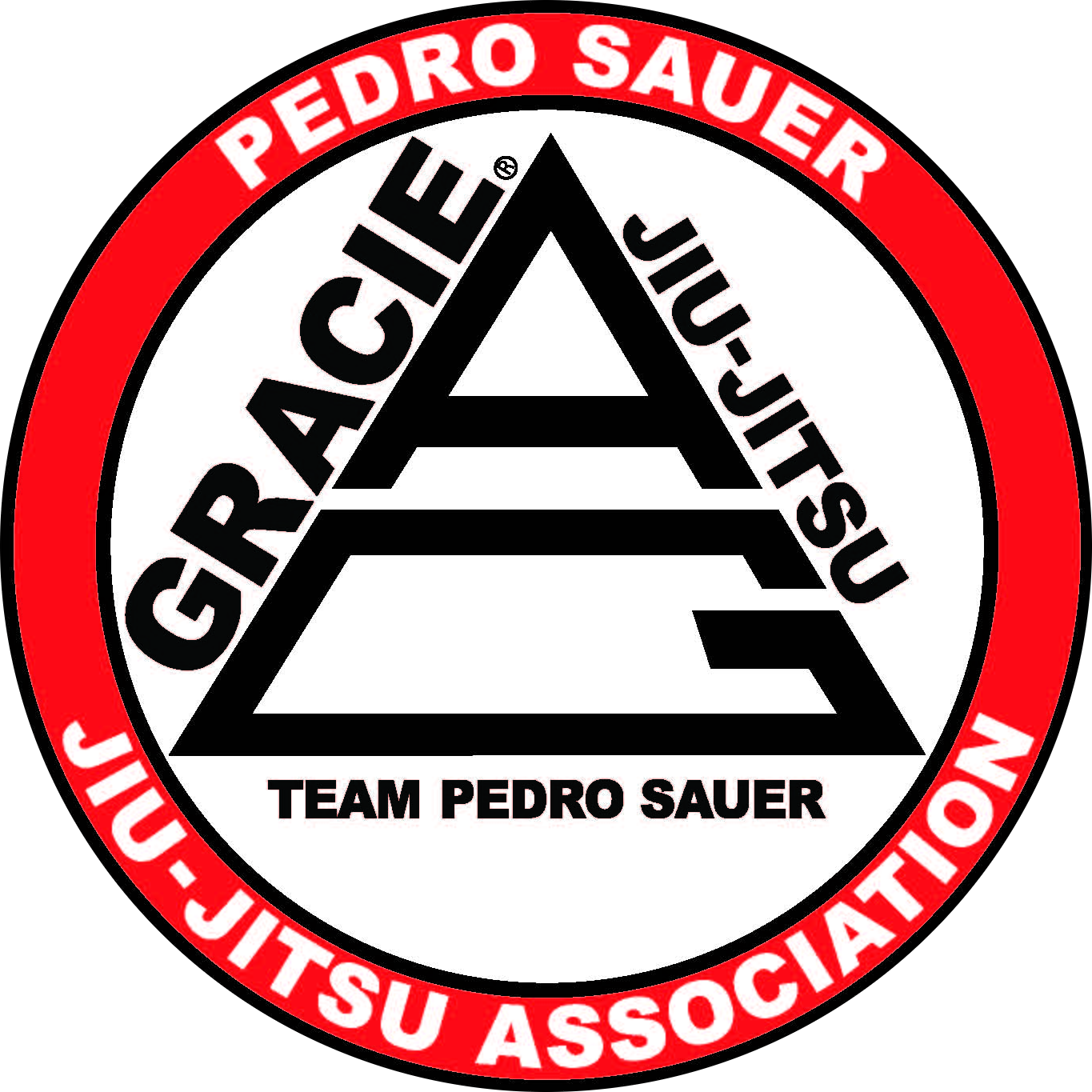 Pedro Sauer Jiu Jitsu Association logo
