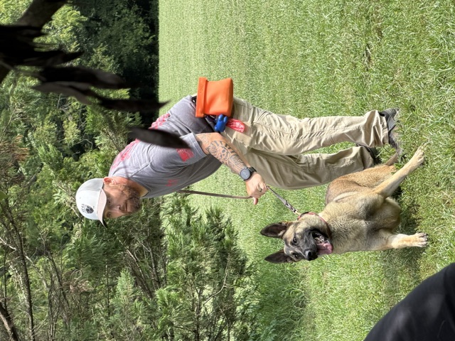 Sean Long training a Belgian Malinois