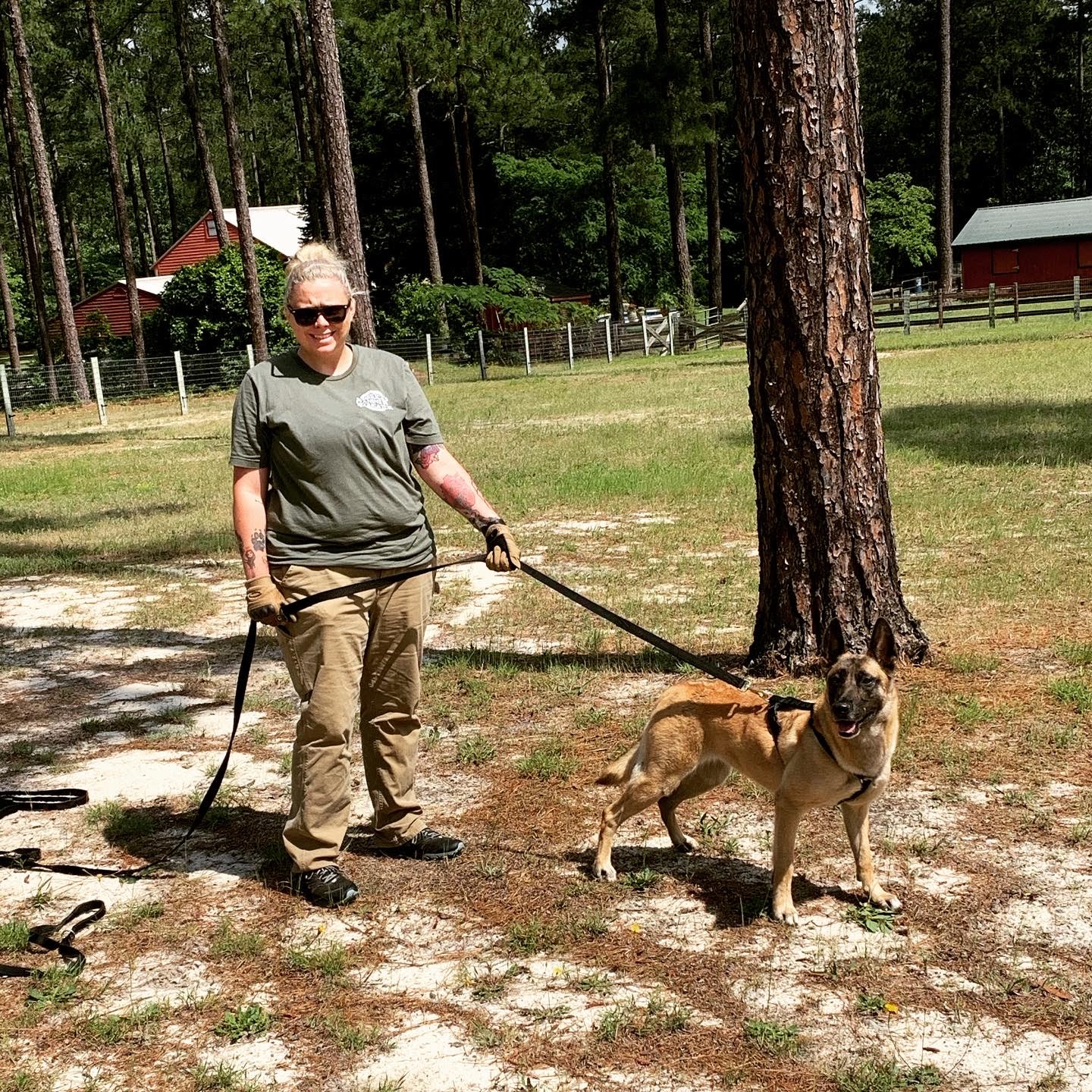 Christina Long with a Malinois in pine forest