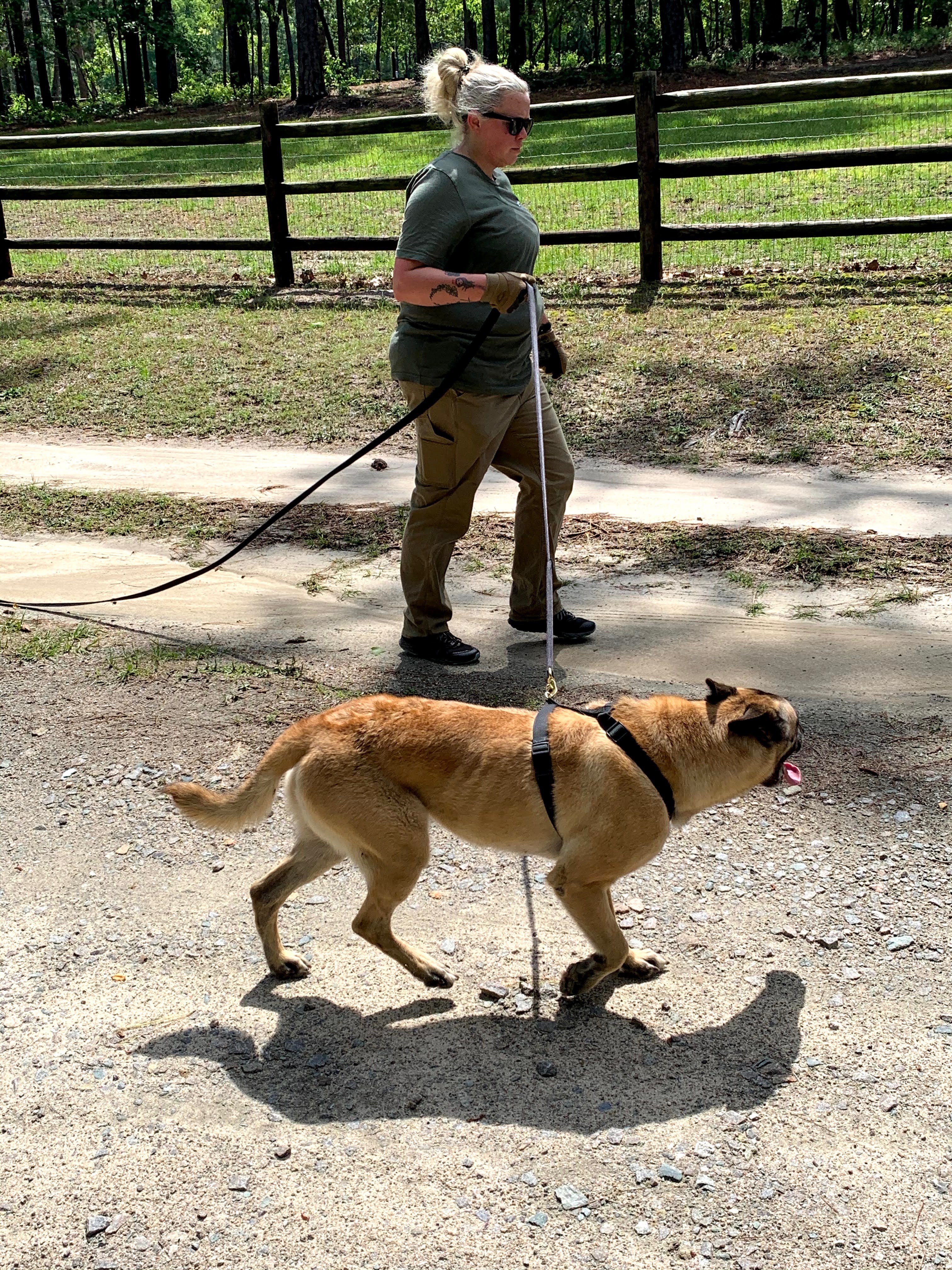 Christina Long training a dog in a real-world environment