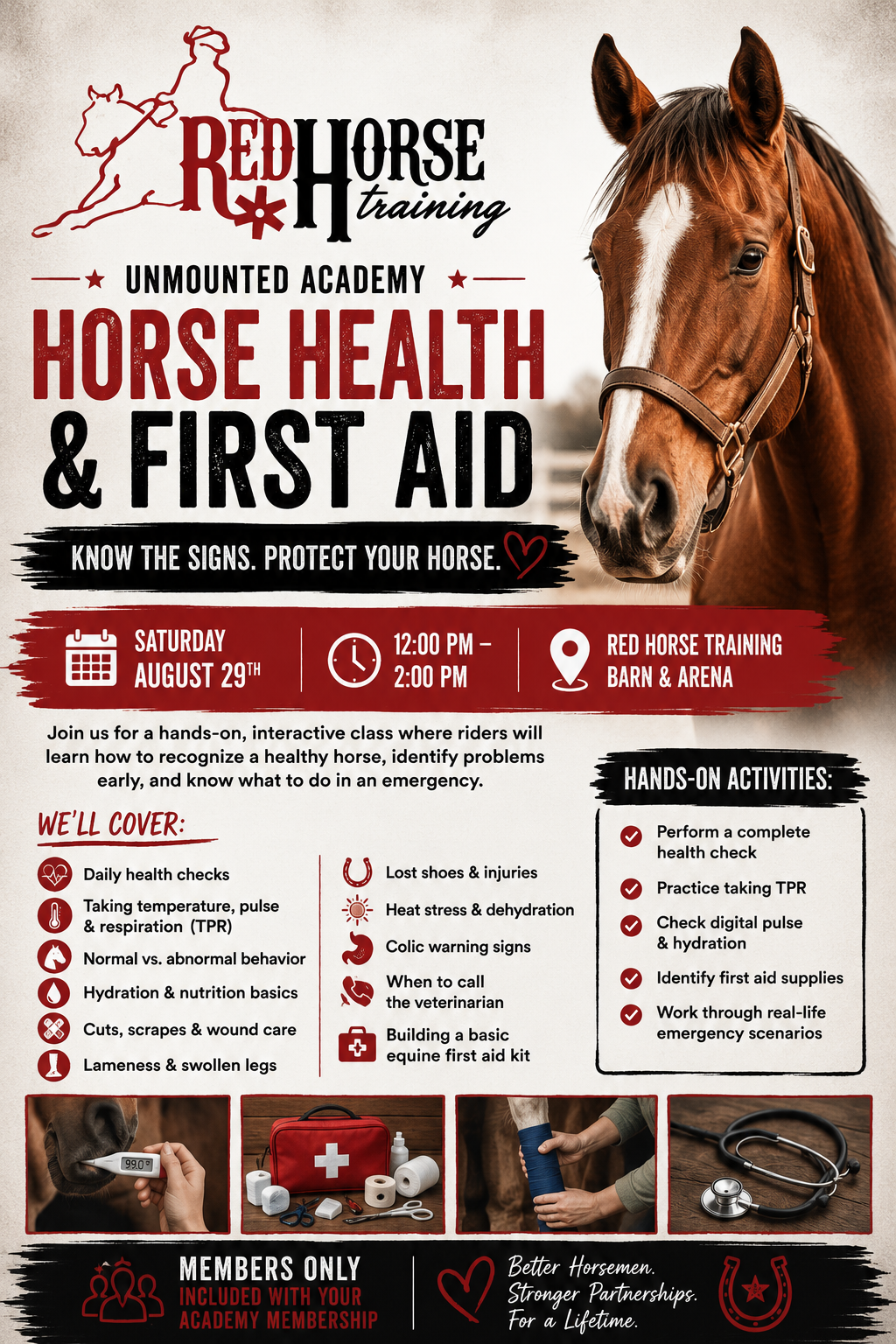 Horse Health & First Aid Flyer