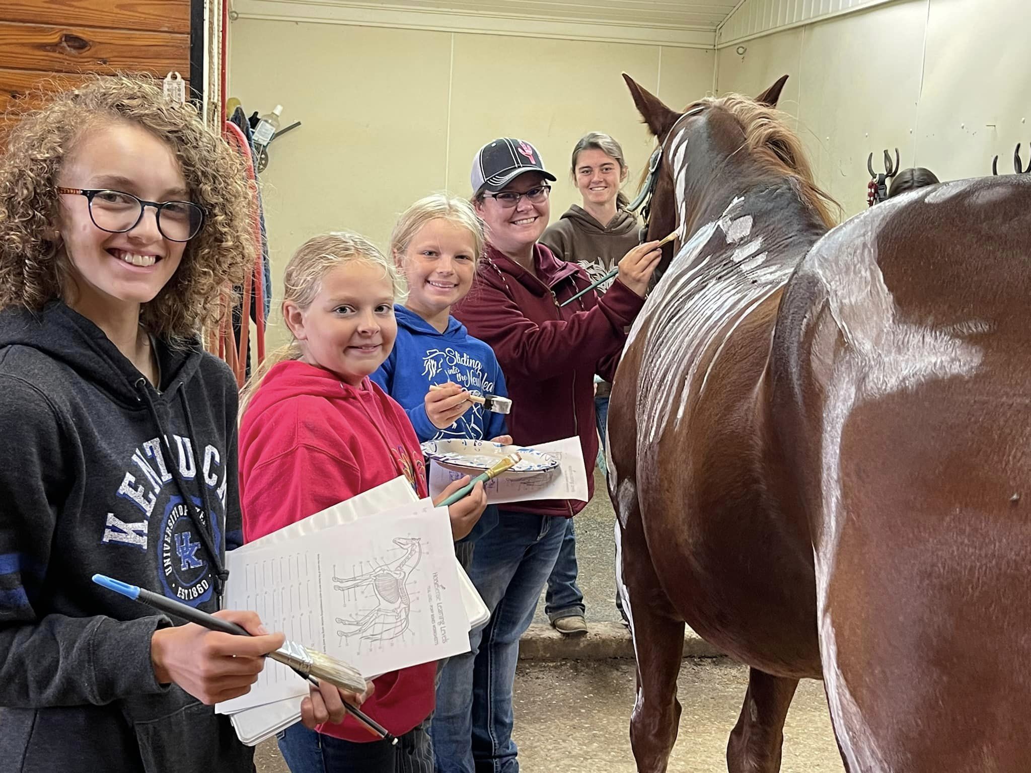 Students learning horse anatomy during a horsemanship clinic