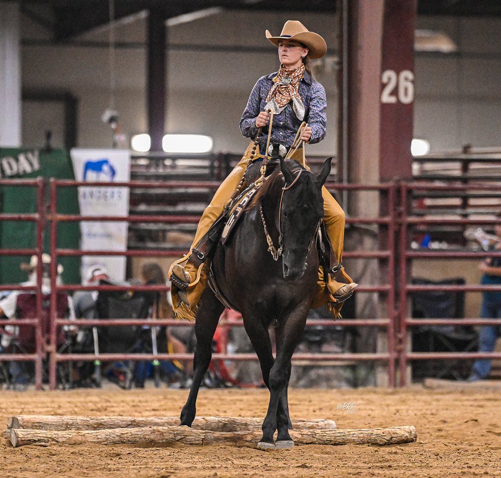 Ranch riding stepping over log obstacle