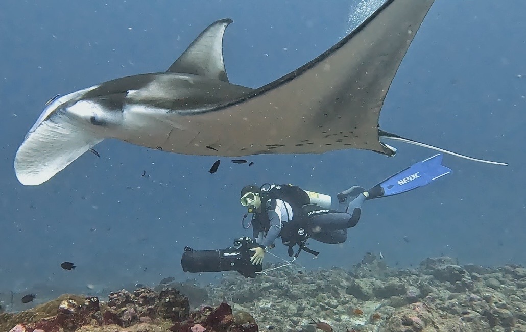 Diver with manta ray