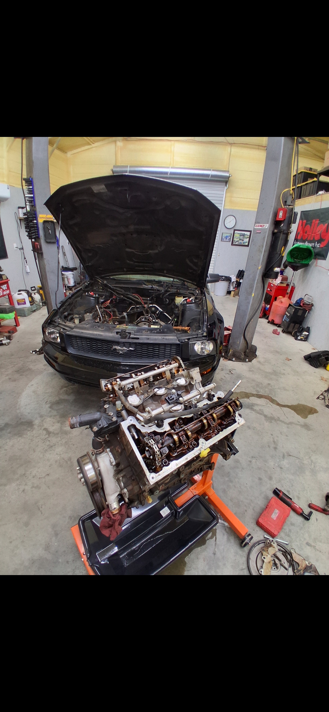 Mustang LS swap