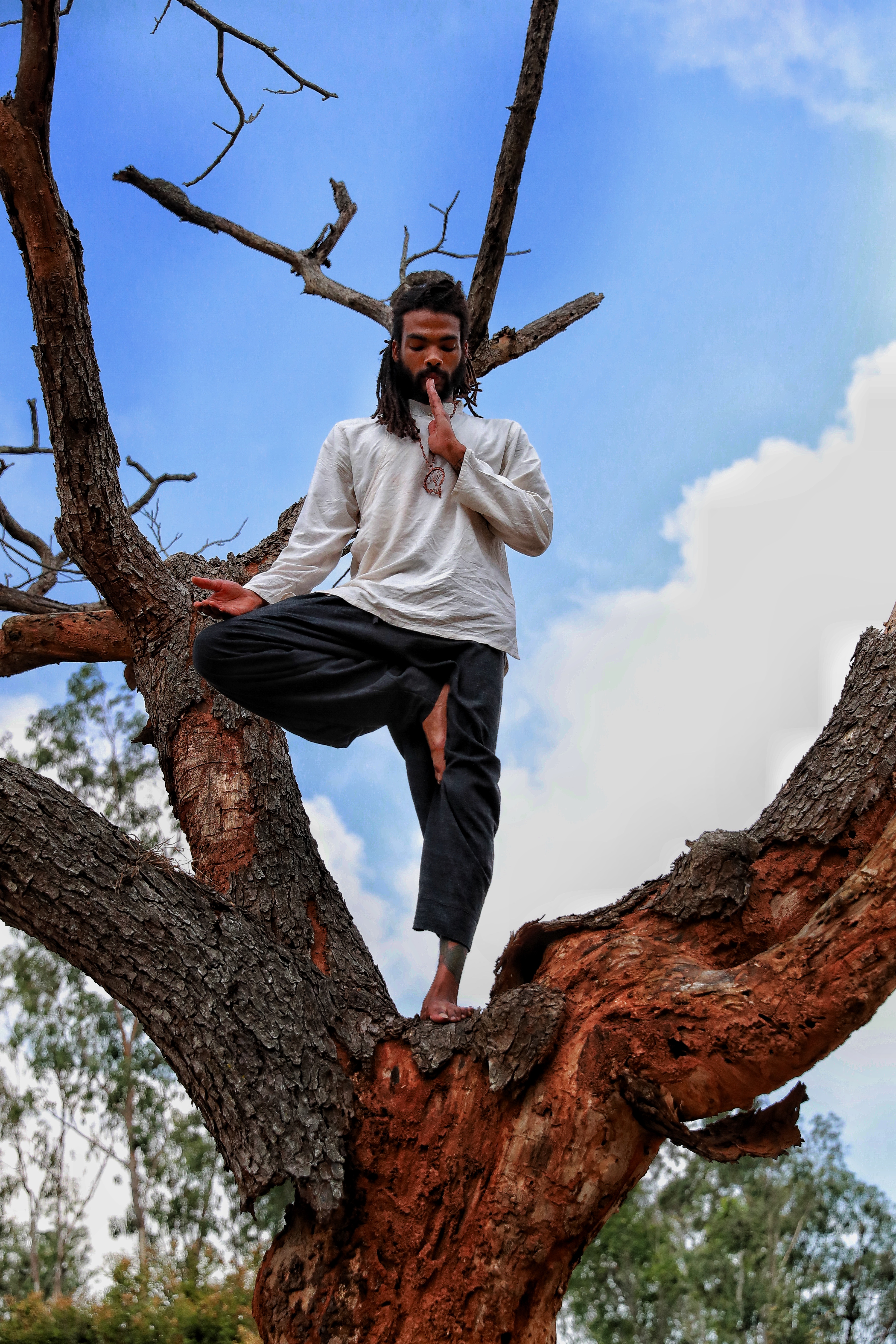 Tree pose in a tree