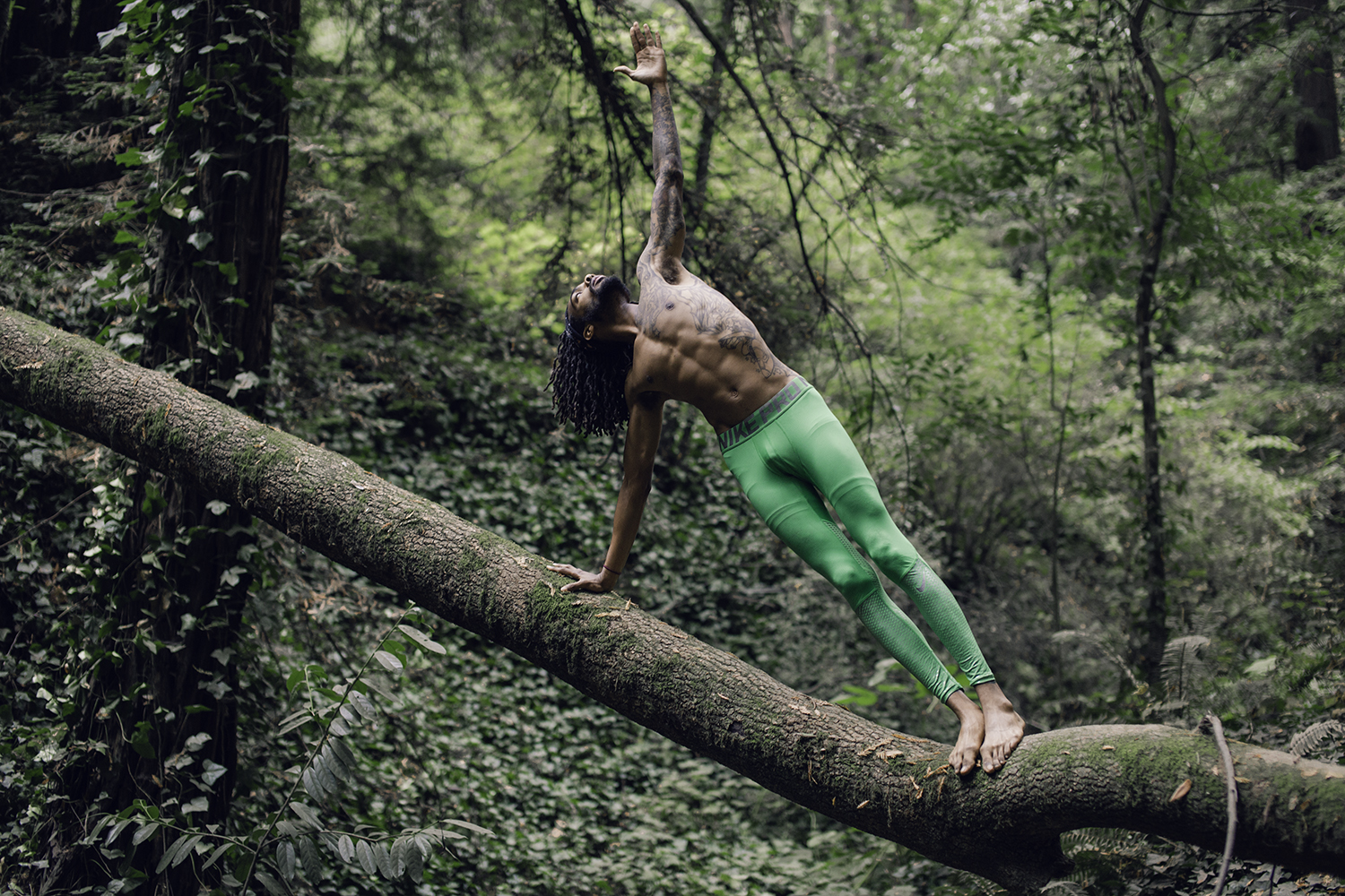 Forest practice