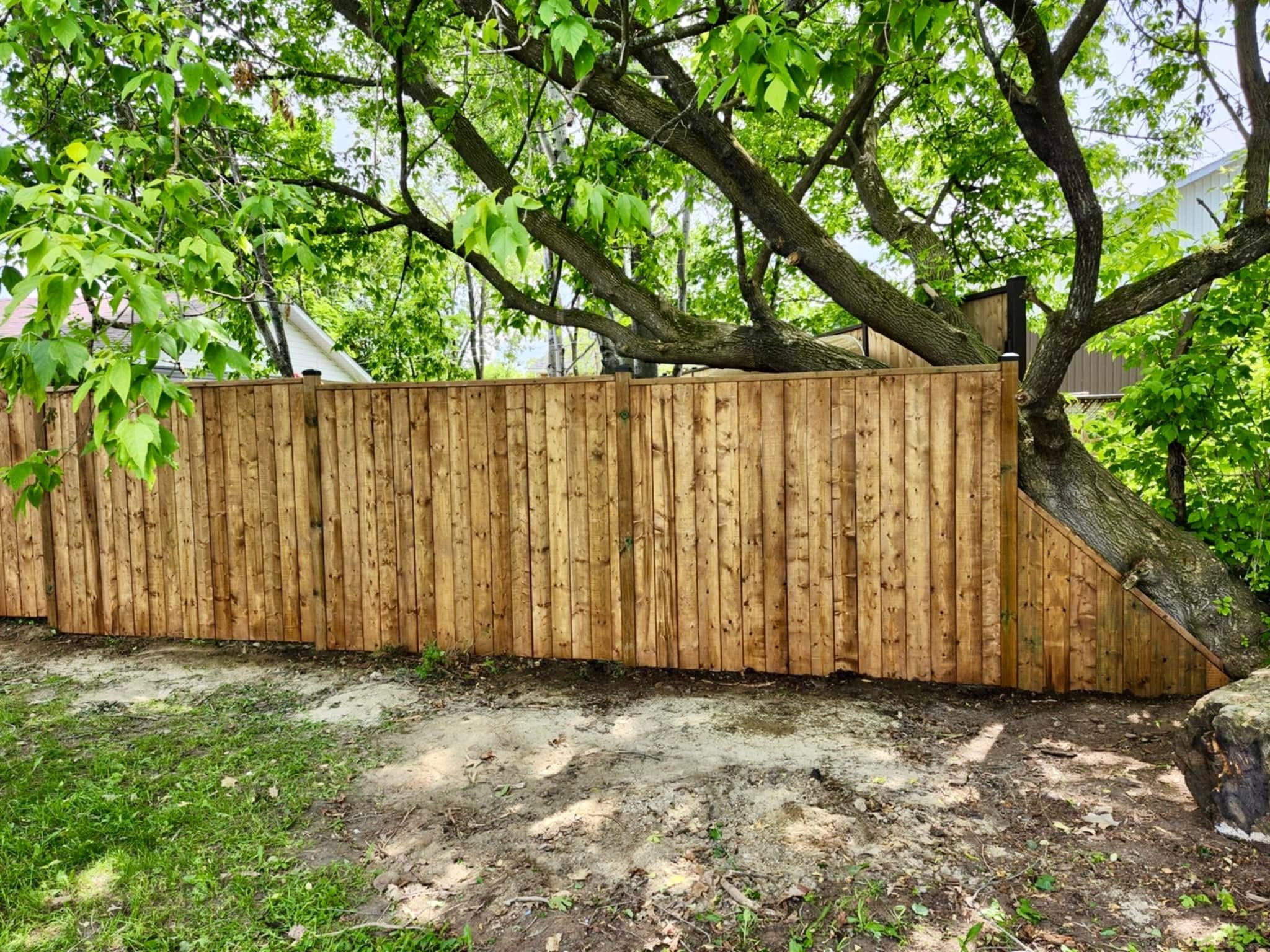 Privacy fence with mature tree integration