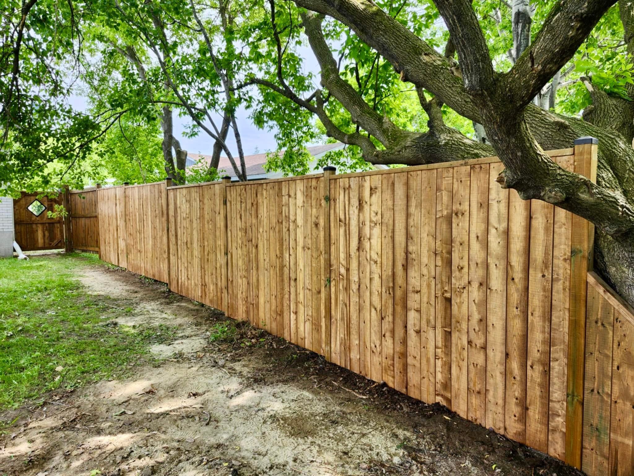 Cedar privacy fence under mature trees